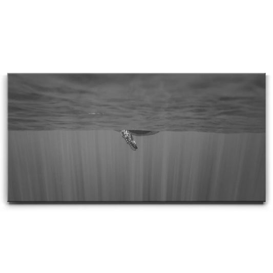 Baby Belly B&W - Tahiti