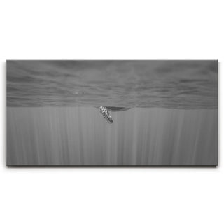 Baby Belly B&W - Tahiti