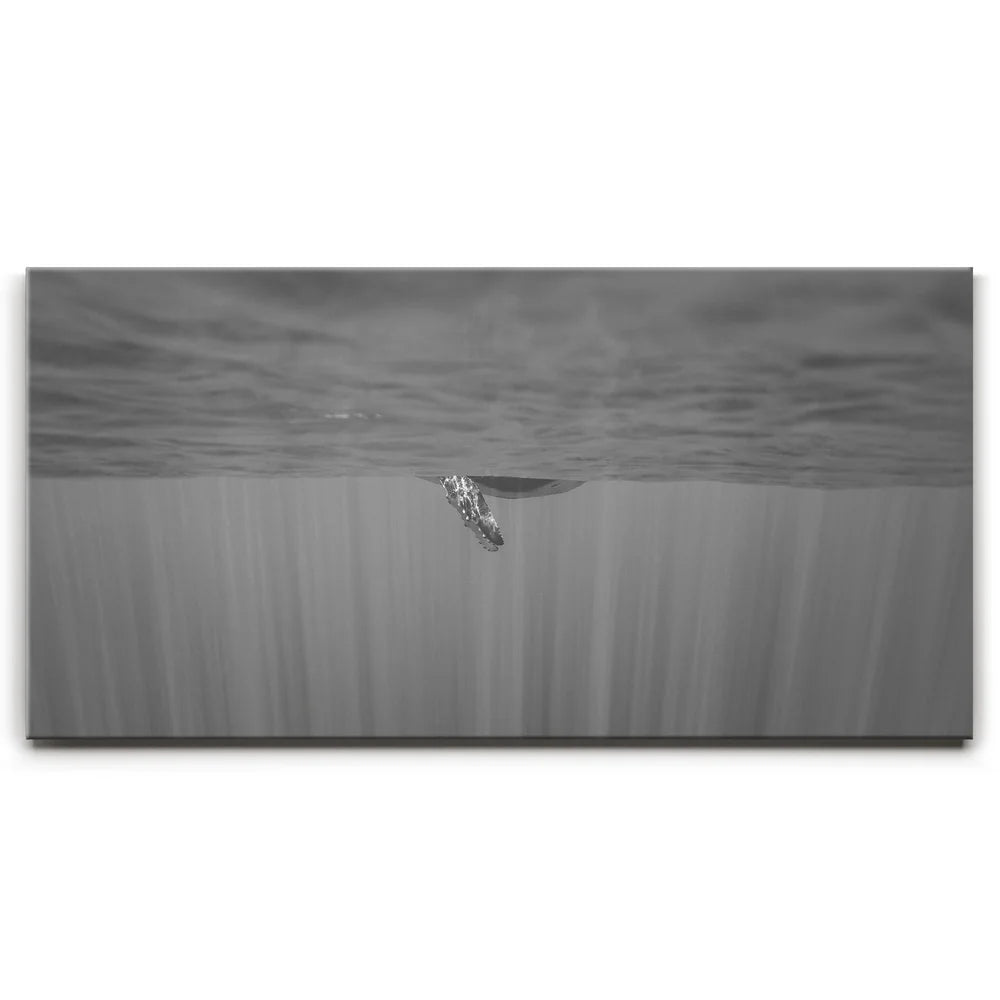 Featured image 1 for Baby Belly B&W - Tahiti