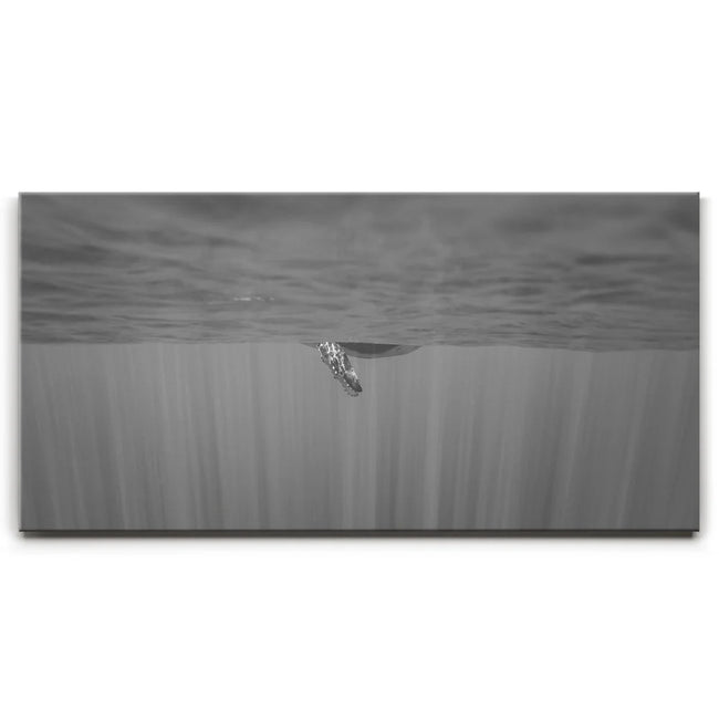Featured image 1 for Baby Belly B&W - Tahiti