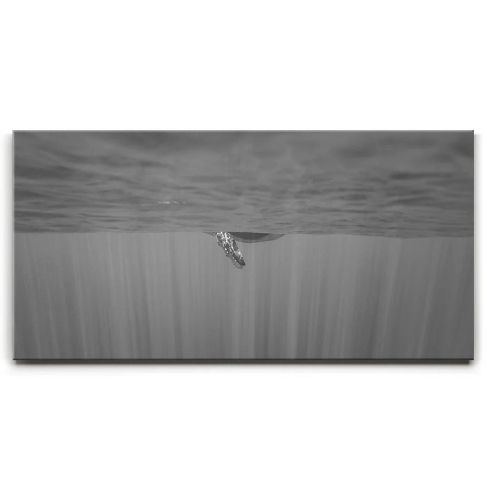 Featured image 1 for Baby Belly B&W - Tahiti