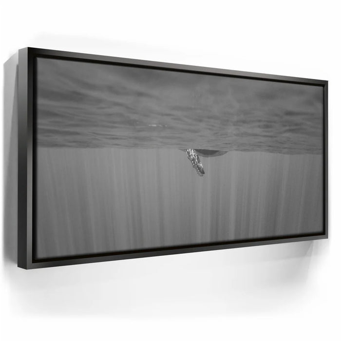 Featured image 5 for Baby Belly B&W - Tahiti