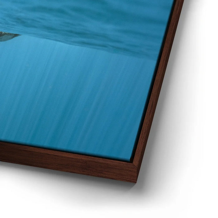 Featured image 14 for Baby Belly In Blue - Tahiti