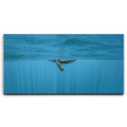 Baby Belly In Blue - Tahiti Posters, Prints, & Visual Artwork TheGoatWallArt LANDSCAPE - WIDE 30x15 0.75" STANDARD