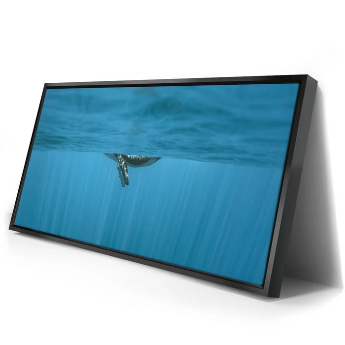 Featured image 2 for Baby Belly In Blue - Tahiti