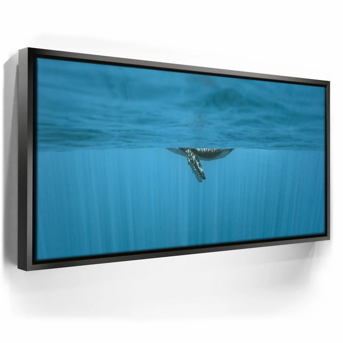 Featured image 5 for Baby Belly In Blue - Tahiti