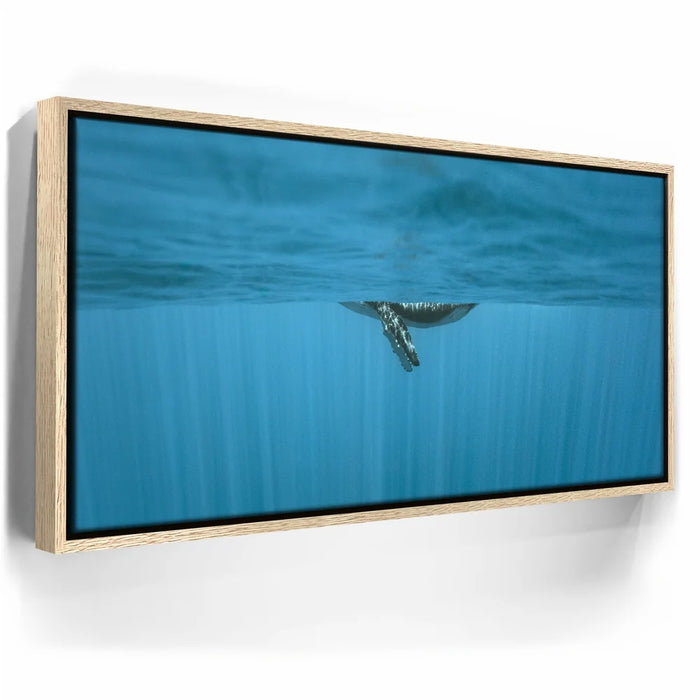 Featured image 9 for Baby Belly In Blue - Tahiti