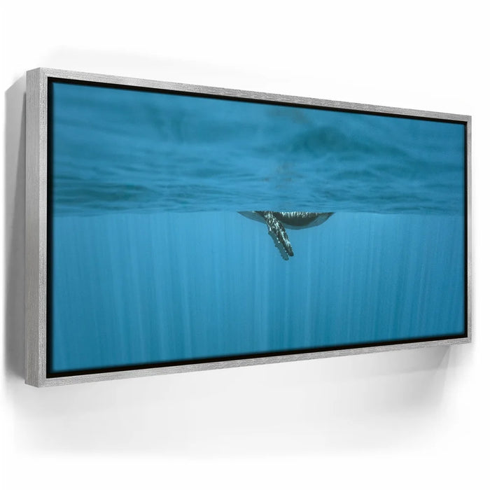 Featured image 8 for Baby Belly In Blue - Tahiti