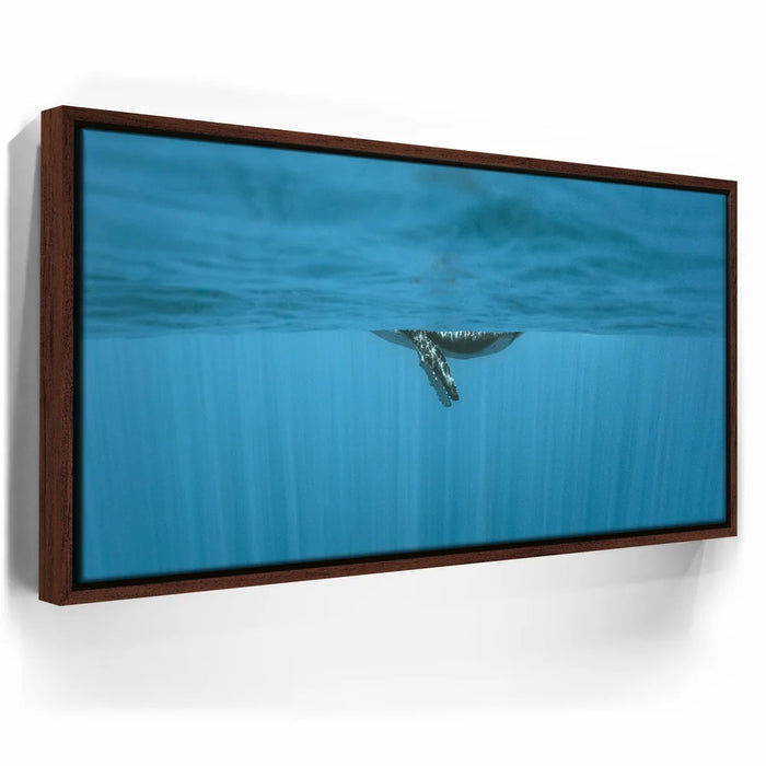 Featured image 10 for Baby Belly In Blue - Tahiti