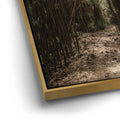 Thumbnail image 12 for Bamboo Forest, Maui
