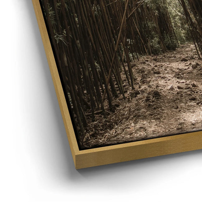 Featured image 12 for Bamboo Forest, Maui
