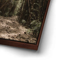 Thumbnail image 14 for Bamboo Forest, Maui