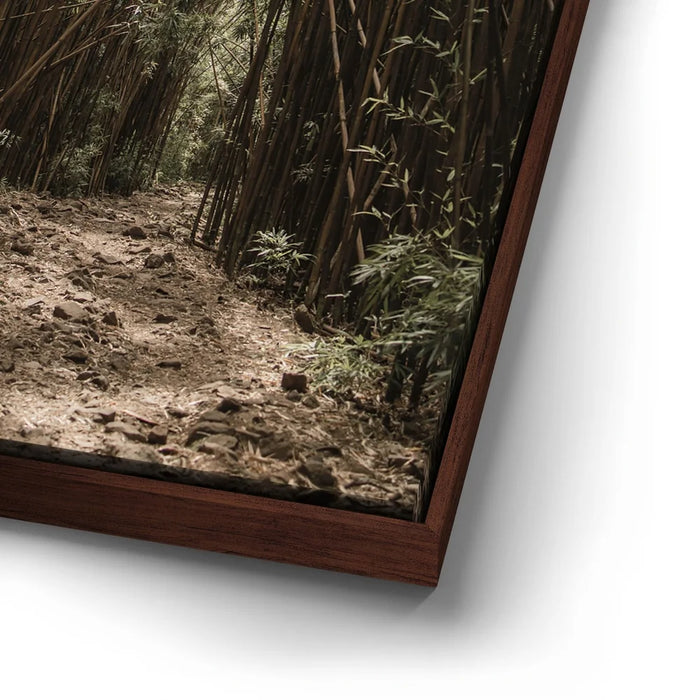 Featured image 14 for Bamboo Forest, Maui