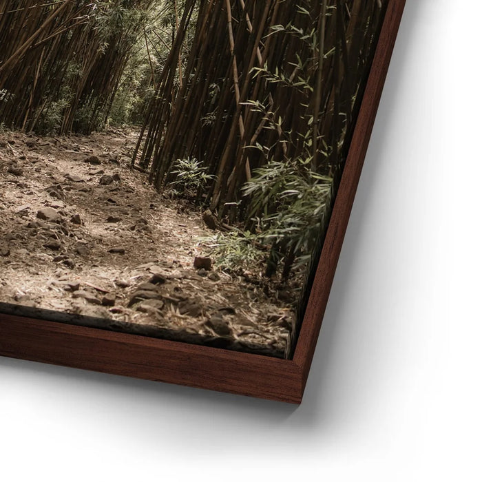 Featured image 15 for Bamboo Forest, Maui