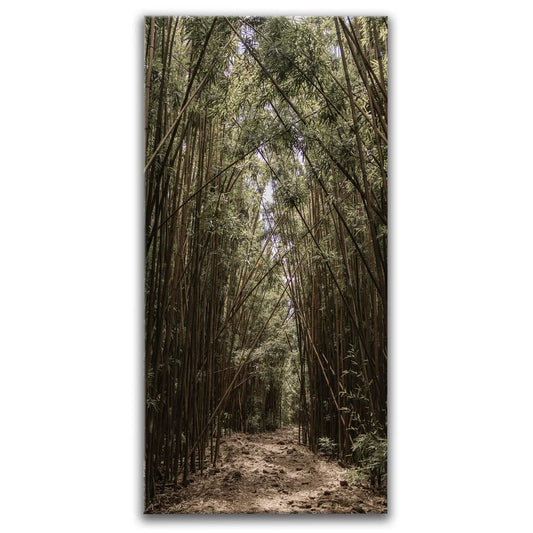 Bamboo Forest, Maui