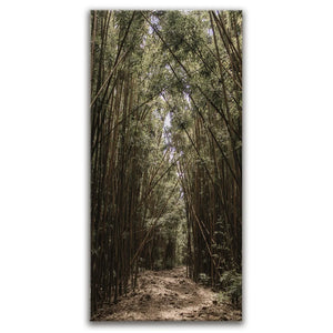 Bamboo Forest, Maui