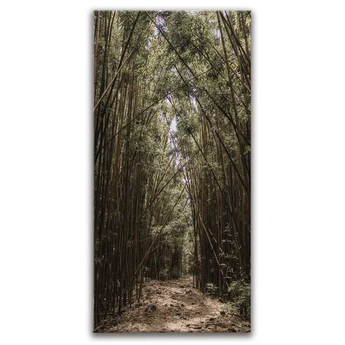 Featured image 1 for Bamboo Forest, Maui