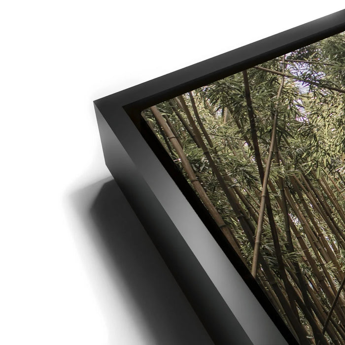 Featured image 11 for Bamboo Forest, Maui