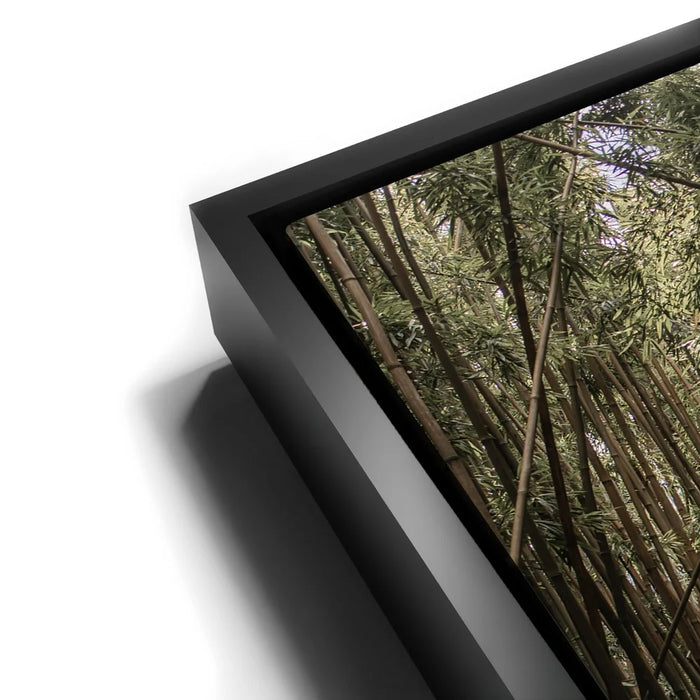 Featured image 12 for Bamboo Forest, Maui