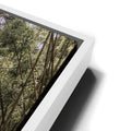 Thumbnail image 13 for Bamboo Forest, Maui