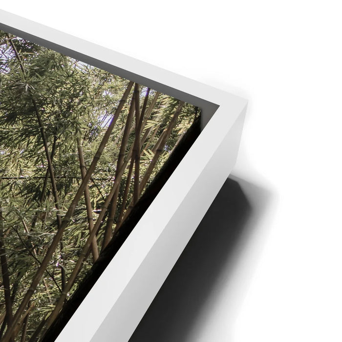 Featured image 13 for Bamboo Forest, Maui