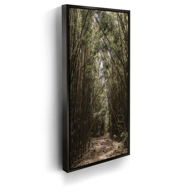 Featured image 5 for Bamboo Forest, Maui