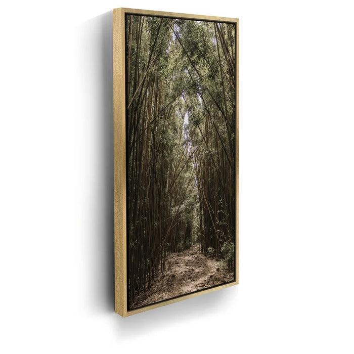 Featured image 7 for Bamboo Forest, Maui