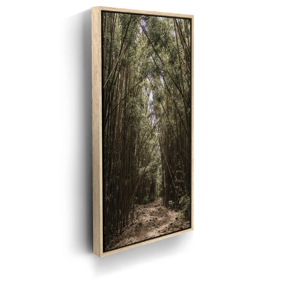 Featured image 9 for Bamboo Forest, Maui