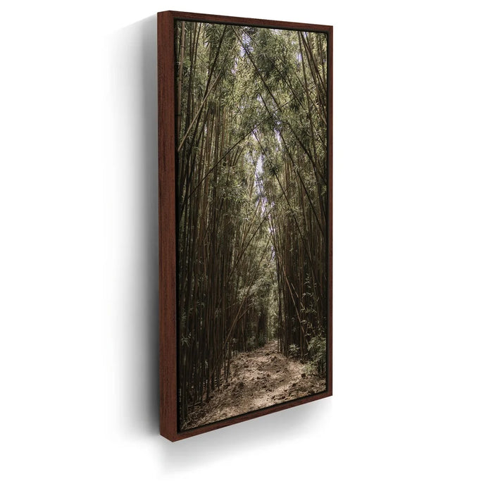 Featured image 10 for Bamboo Forest, Maui