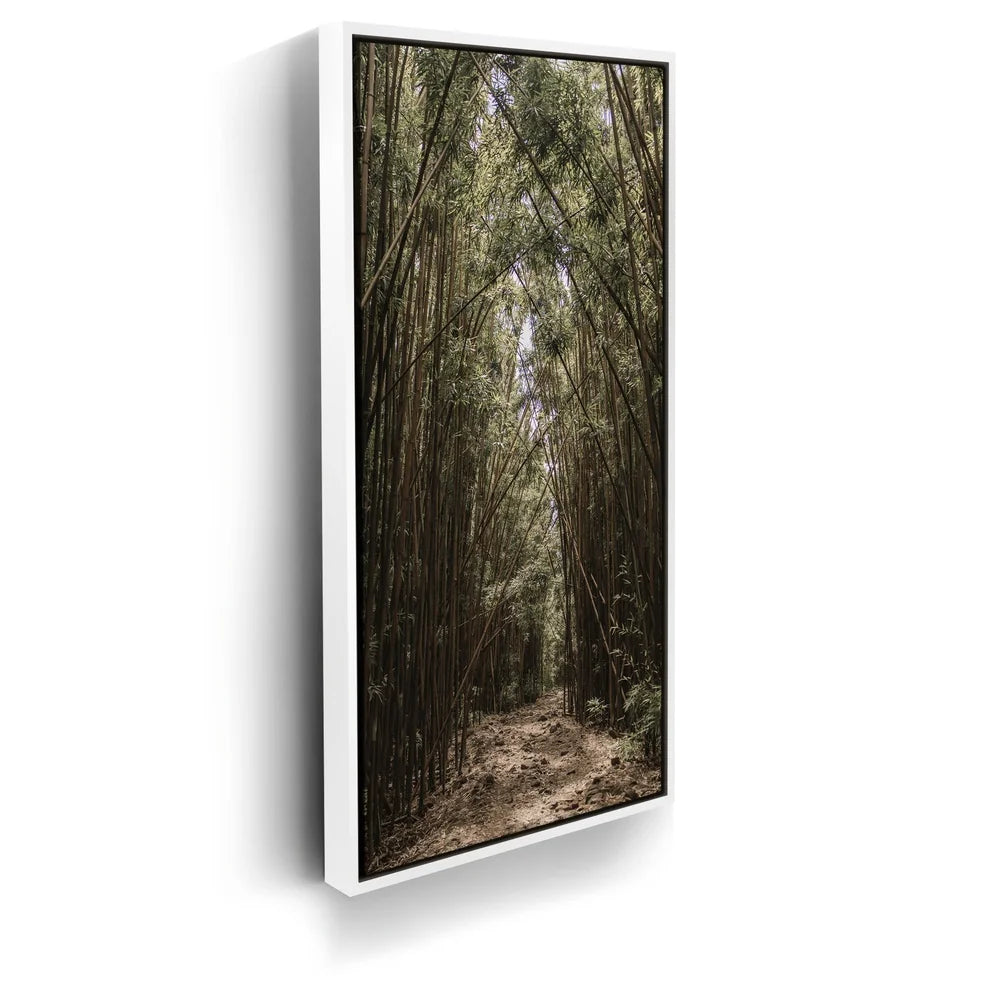 Featured image 6 for Bamboo Forest, Maui