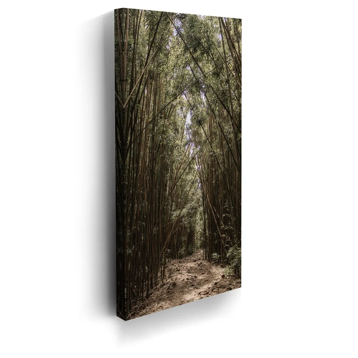 Featured image 5 for Bamboo Forest, Maui
