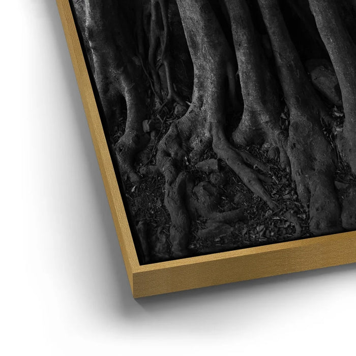 Featured image 13 for Banyan Tree, Maui - Black and White