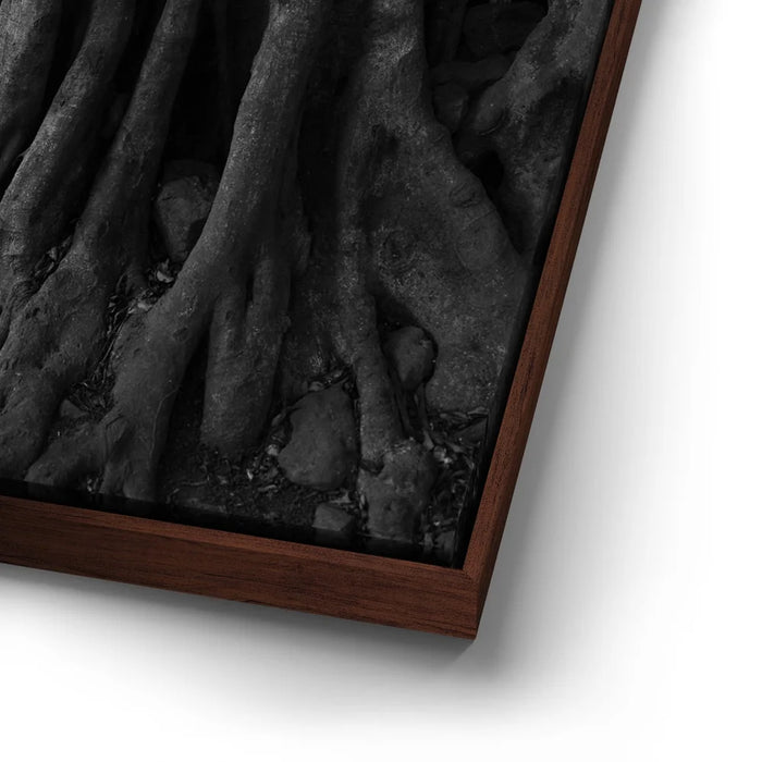 Featured image 15 for Banyan Tree, Maui - Black and White