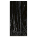 Featured image 1 for Banyan Tree, Maui - Black and White