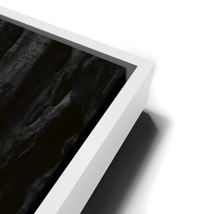 Featured image 13 for Banyan Tree, Maui - Black and White