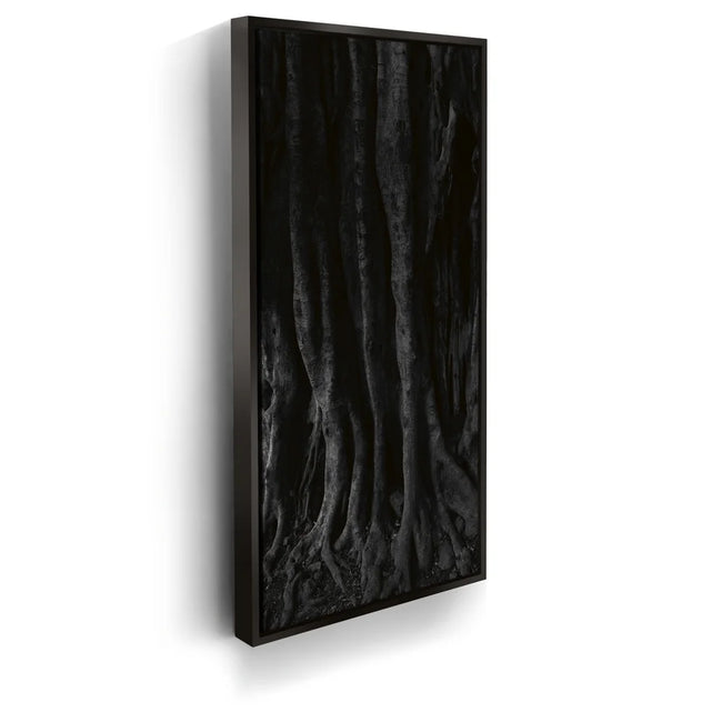 Featured image 5 for Banyan Tree, Maui - Black and White