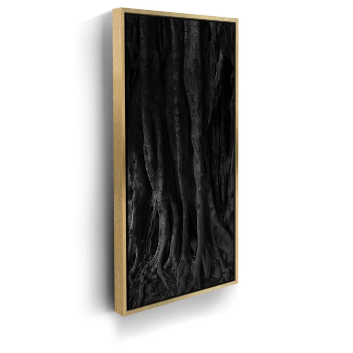 Featured image 8 for Banyan Tree, Maui - Black and White