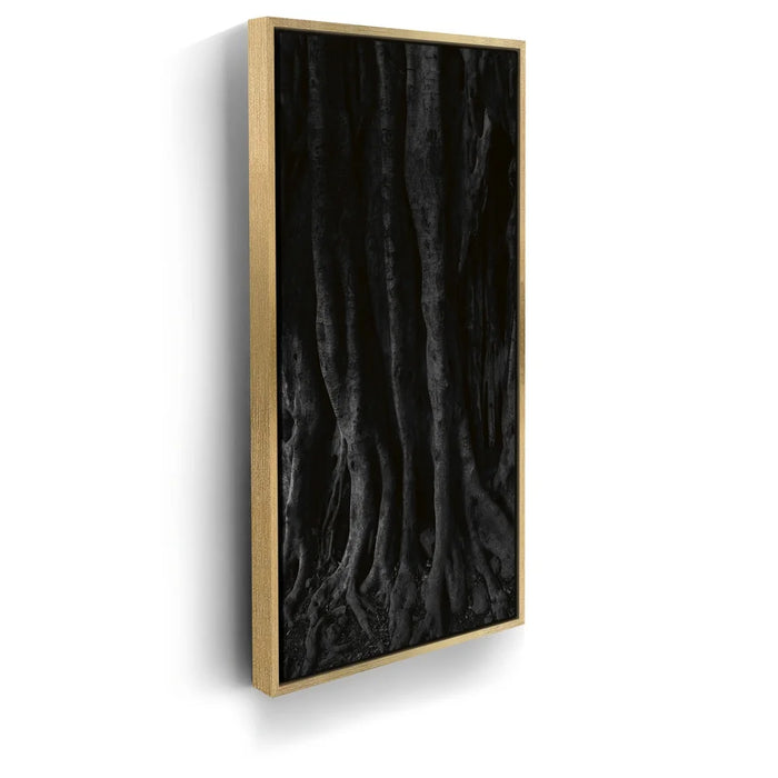 Featured image 7 for Banyan Tree, Maui - Black and White