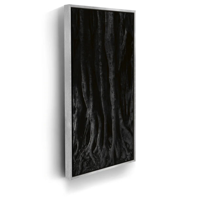 Featured image 8 for Banyan Tree, Maui - Black and White