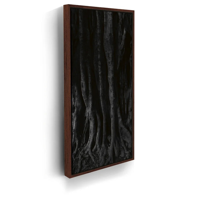 Featured image 10 for Banyan Tree, Maui - Black and White