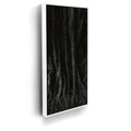 Featured image 6 for Banyan Tree, Maui - Black and White