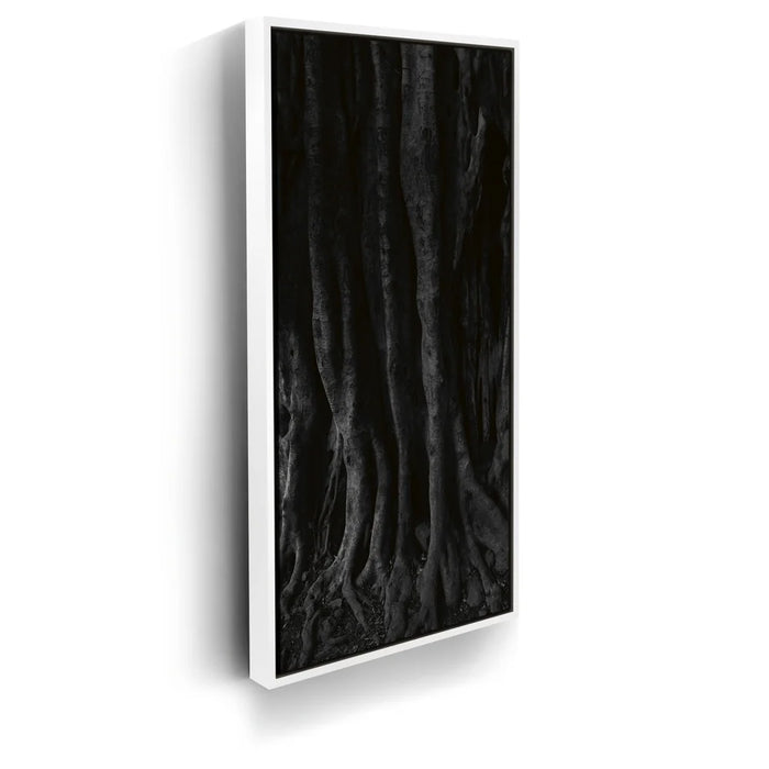 Featured image 6 for Banyan Tree, Maui - Black and White