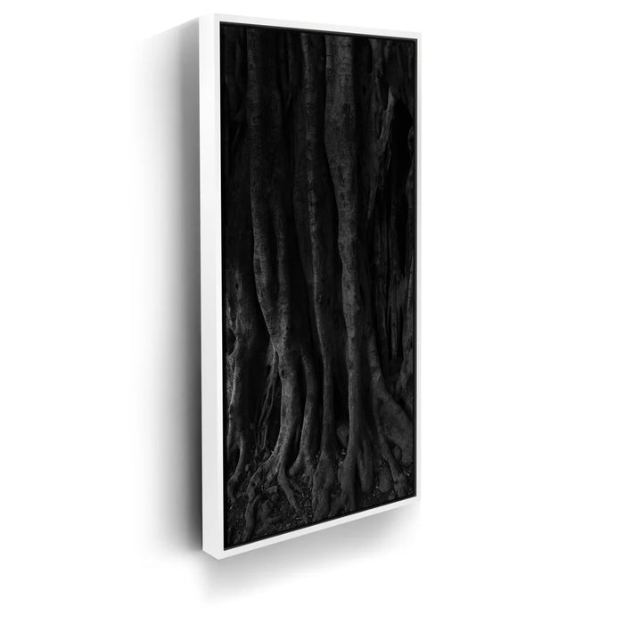 Featured image 7 for Banyan Tree, Maui - Black and White