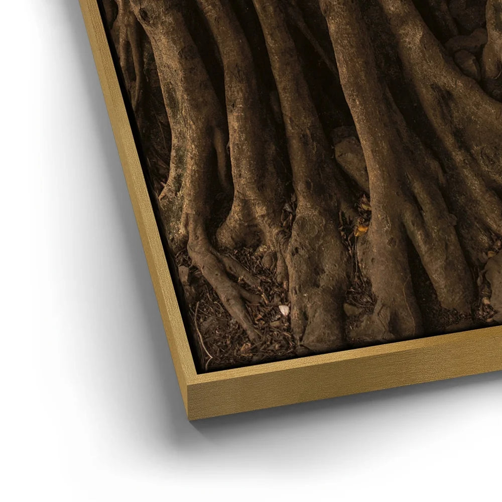 Featured image 12 for Banyan Tree, Maui