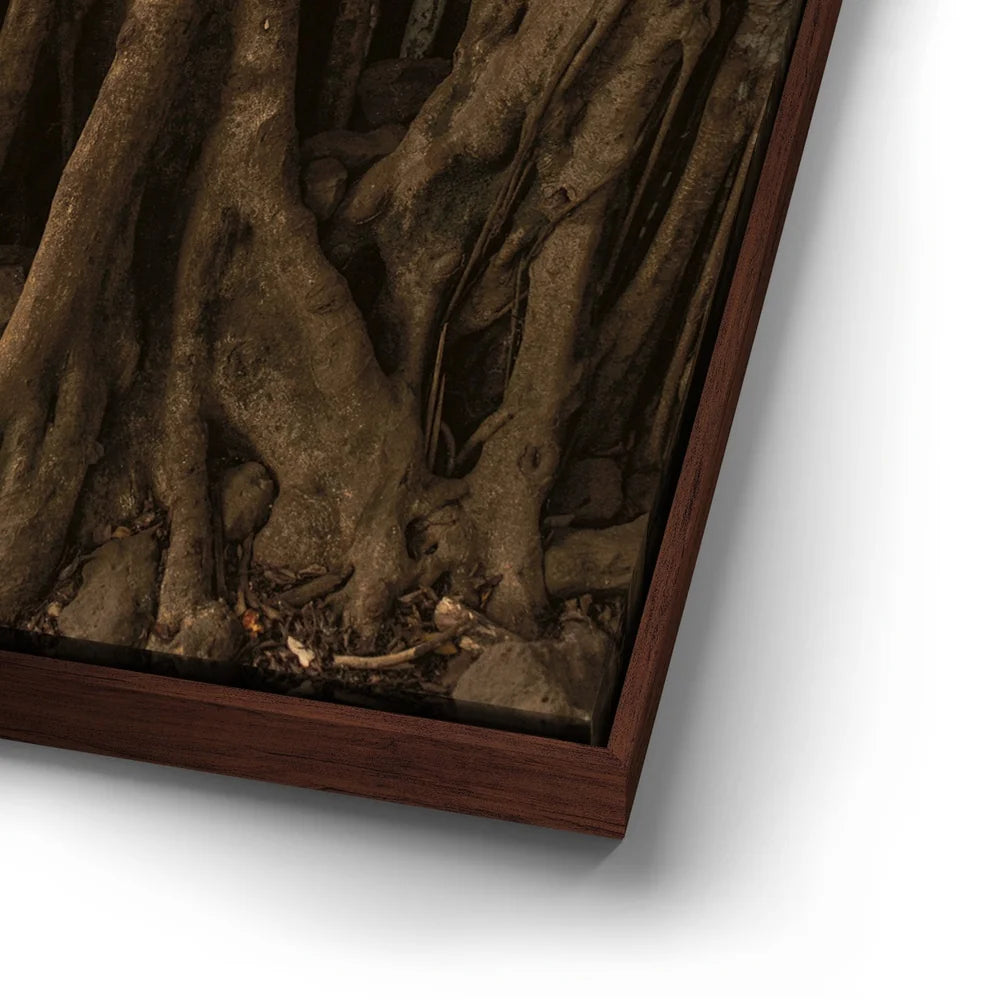 Featured image 14 for Banyan Tree, Maui