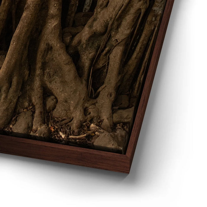 Featured image 15 for Banyan Tree, Maui