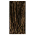Featured image 1 for Banyan Tree, Maui