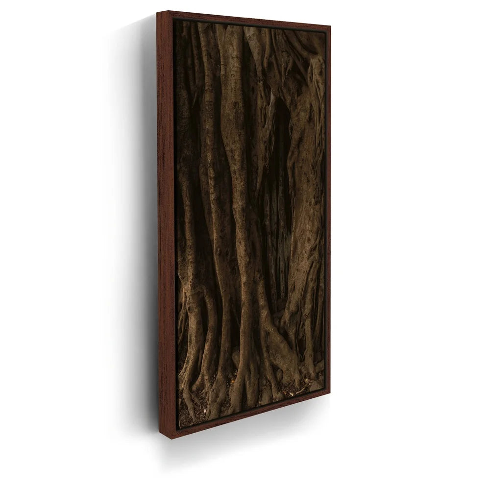 Featured image 10 for Banyan Tree, Maui