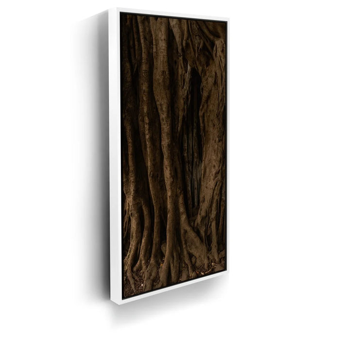 Featured image 7 for Banyan Tree, Maui