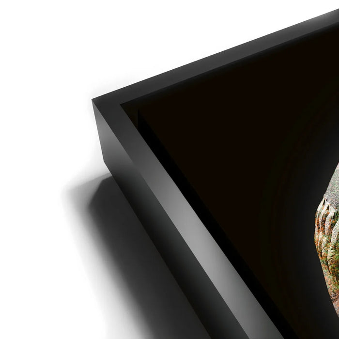 Featured image 11 for Baseball Graffiti - Colorful